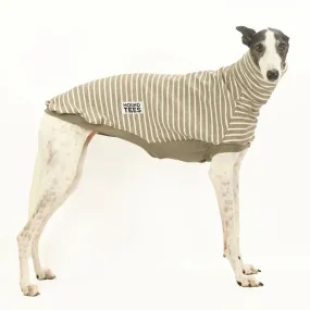 Latte Greyhound Sleeveless Sweater